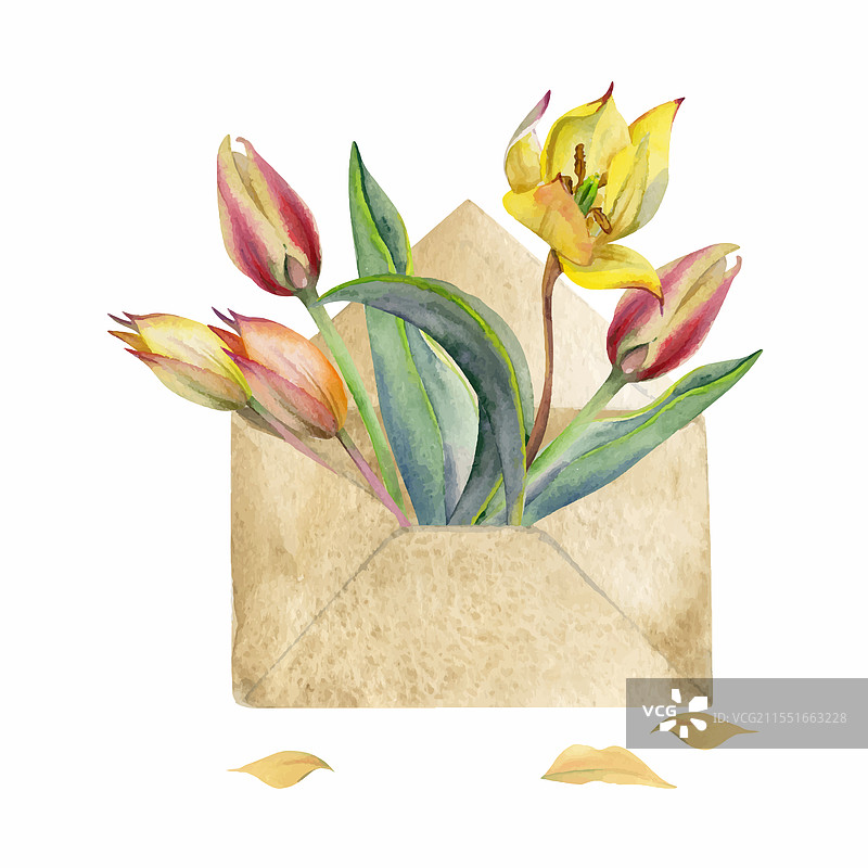 春天的花朵，黄色和红色的郁金香和番红花图片素材