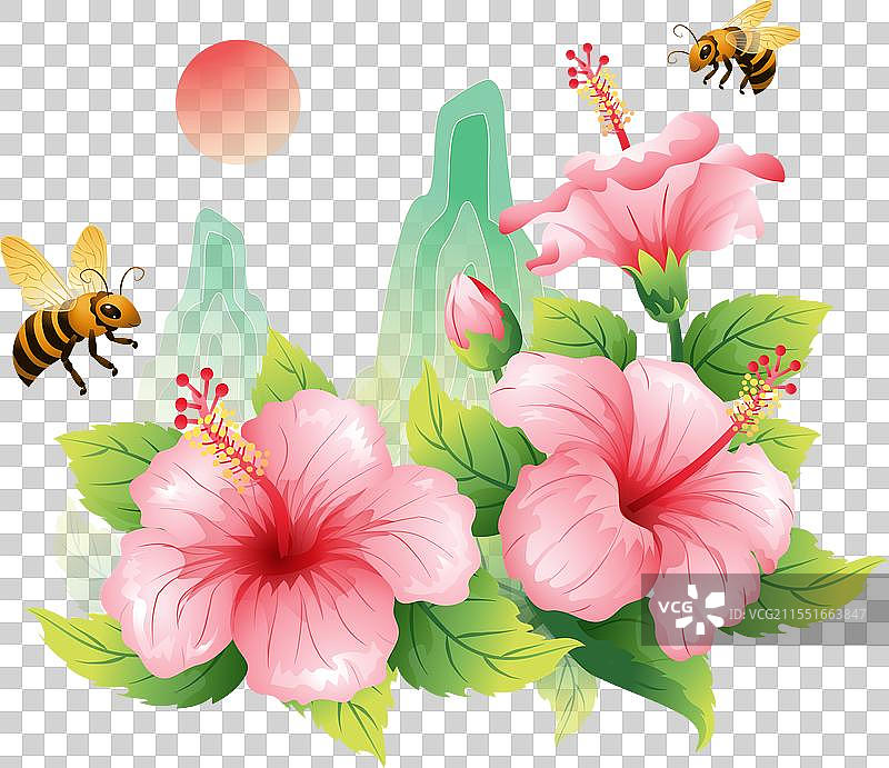 夏至 木槿花插画元素图片素材