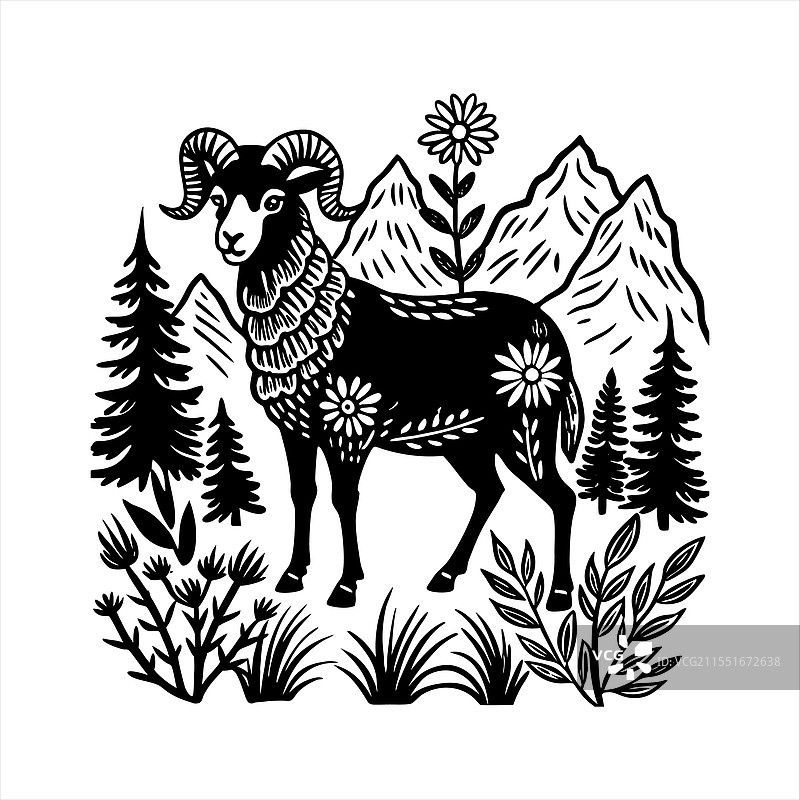 大角羊站立着图片素材