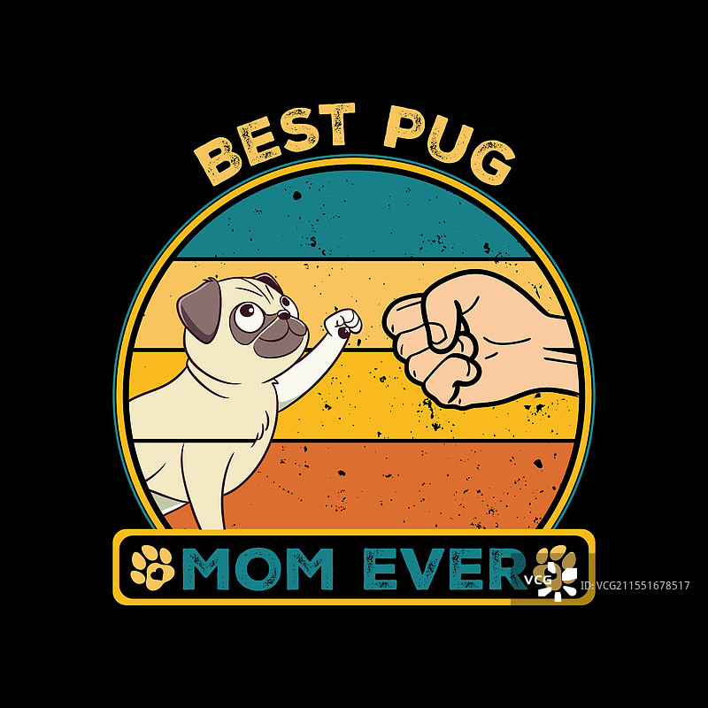 最棒的巴哥犬妈妈图片素材