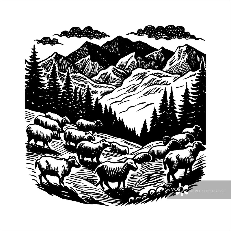 一群大角羊图片素材