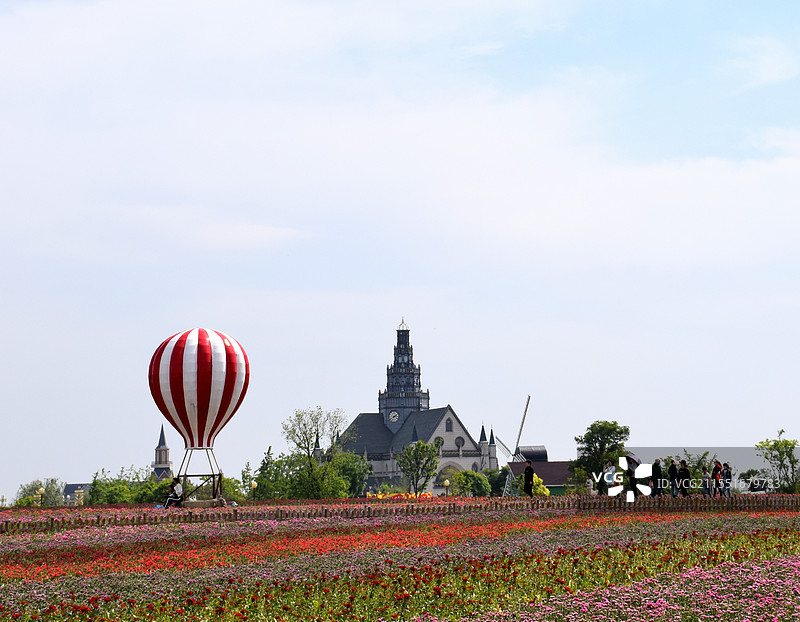 盐城大丰荷兰花海景区图片素材