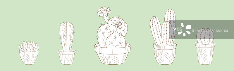 仙人掌多肉植物在花盆中生长的线条图集图片素材