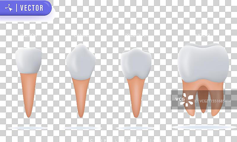 牙齿34图片素材