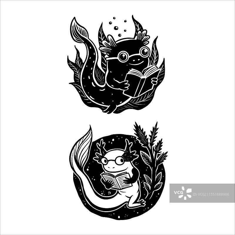 拿着书的美西螈图片素材