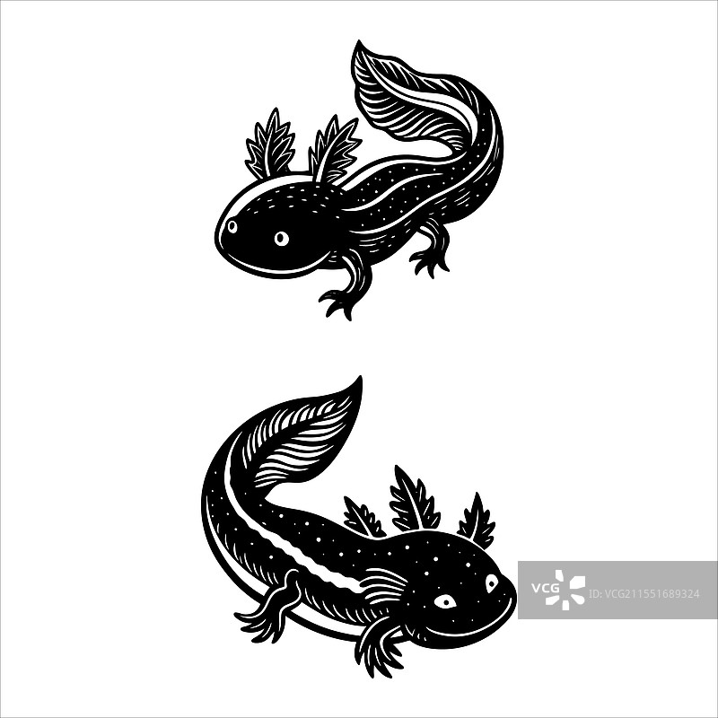 复古风格的美洲大蜥蜴图片素材