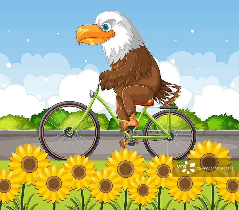 一只骑自行车的鹰在盛开的向日葵中间图片素材