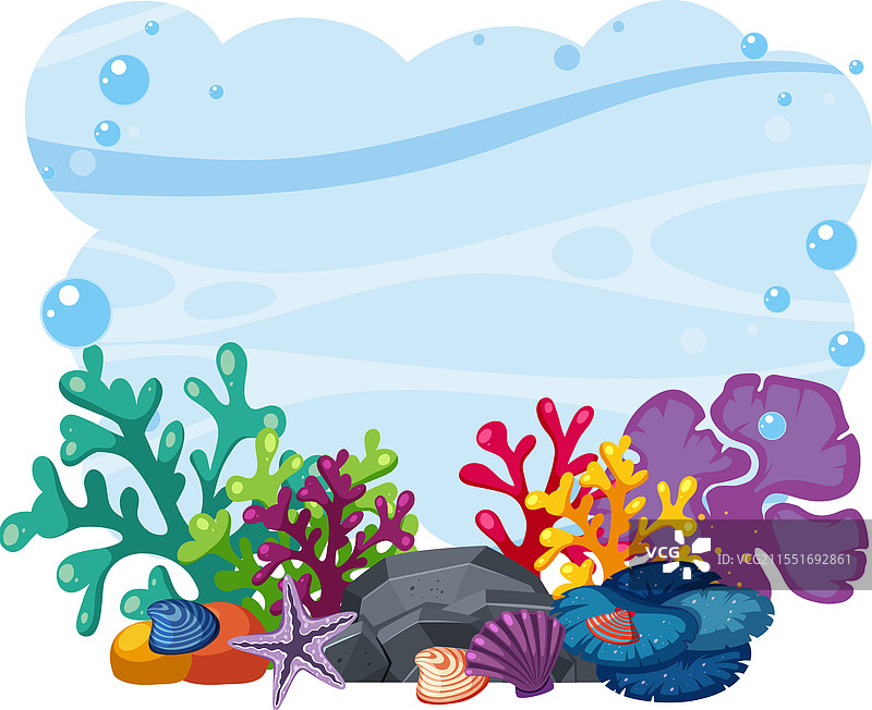 生机勃勃的海洋生物与珊瑚和贝壳图片素材