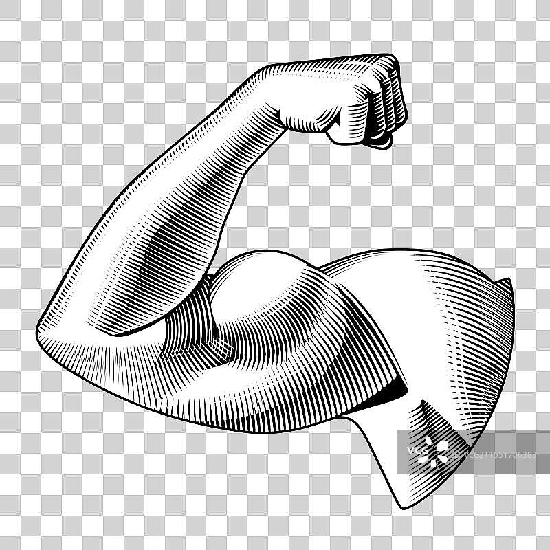 肌肉发达的男性健美运动员的手臂图片素材