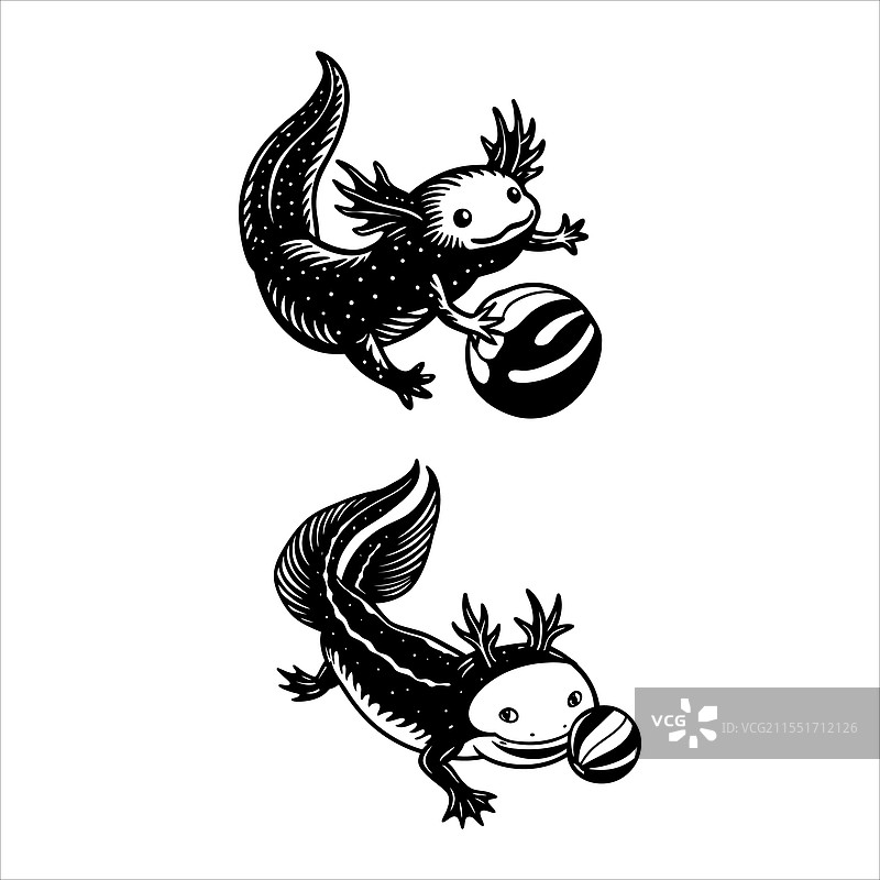 美洲大蜥蜴宠物图片素材