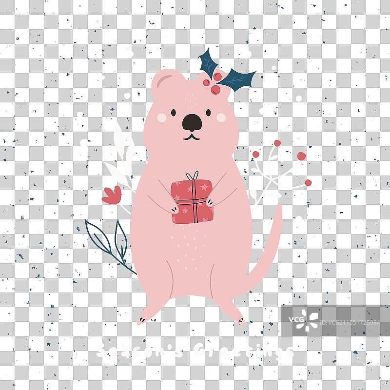 圣诞贺卡上有可爱的考拉图片素材