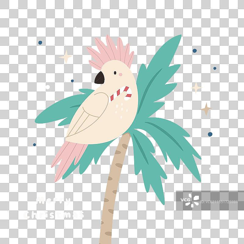 带有搞笑鹦鹉的圣诞贺卡图片素材