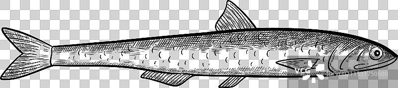 黑色和白色的鳀鱼孤立设计元素图片素材