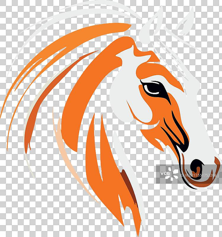 一匹长鬃的马头图片素材