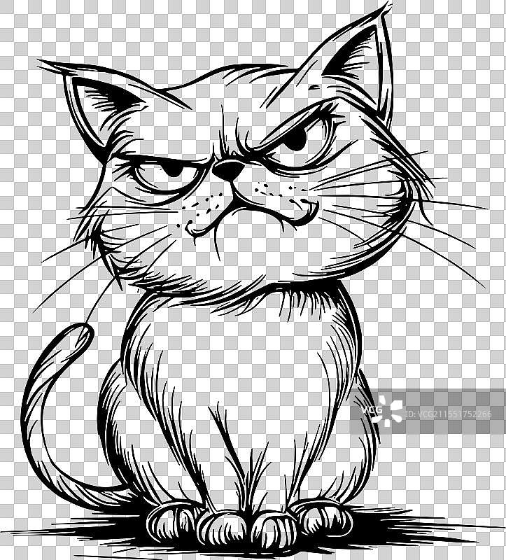 生气的猫图片素材