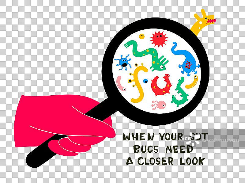 益生菌与肠道微生物组图片素材