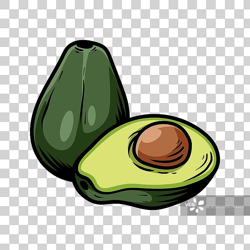 两个孤立的鳄梨线条画风格图片素材