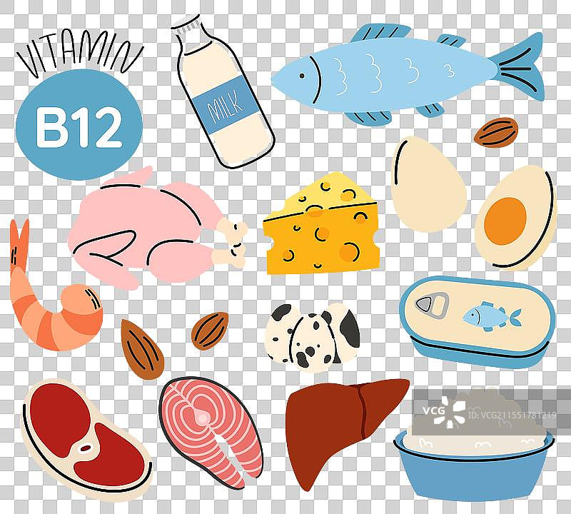 健康的维生素B2饮食食品来源集合图片素材