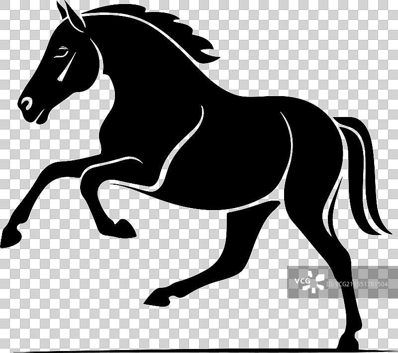 一匹马在奔跑图片素材