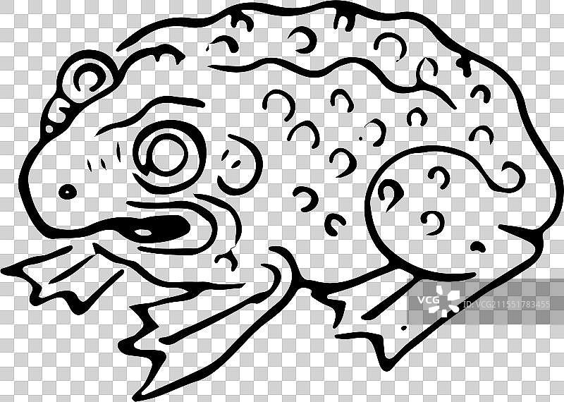 蟾蜍，发财，财富，三足金蟾图片素材