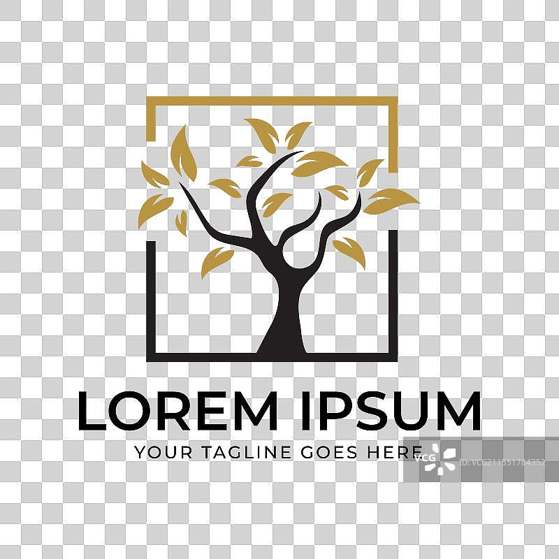 独特框架中的树木，金色叶子设计图片素材