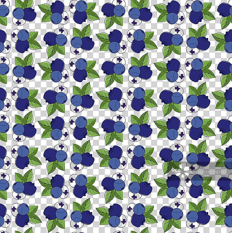 野生蓝莓枝条与绿叶的新年装饰图片素材