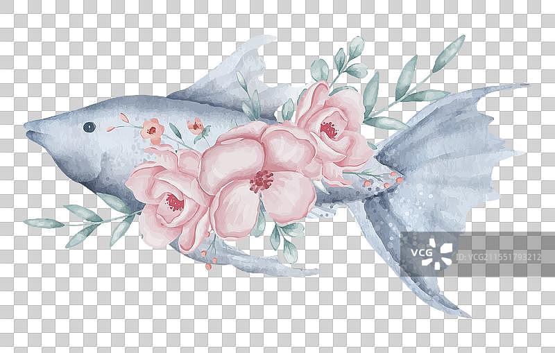 装饰花卉的水彩鱼图片素材