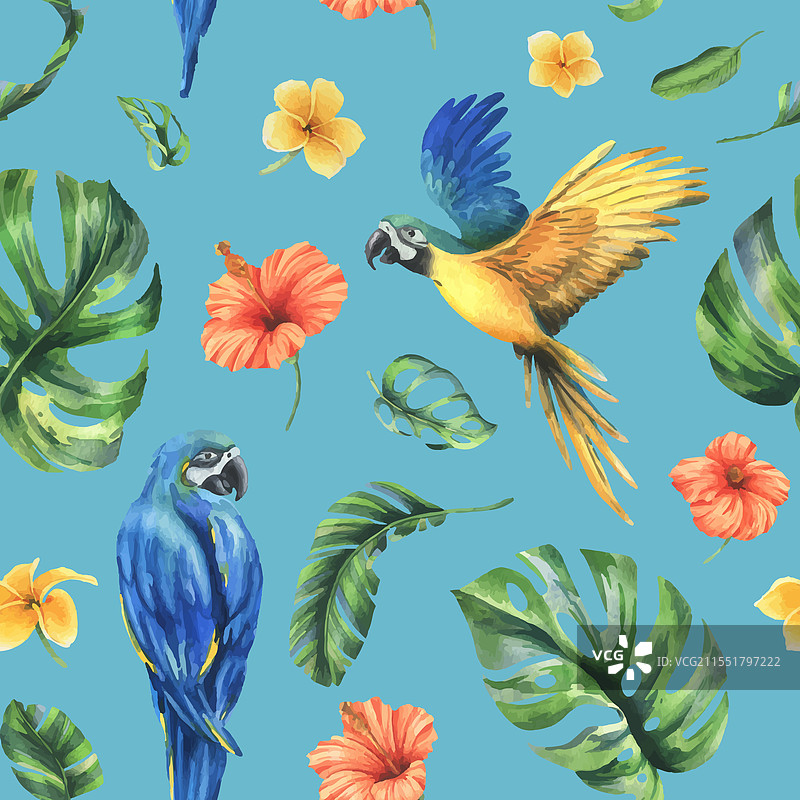 热带棕榈叶、怪兽植物和花朵图片素材