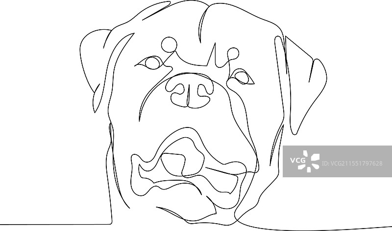 罗威纳犬 保护犬 服务犬 犬种图片素材