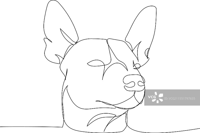 索洛伊犬，墨西哥无毛犬图片素材