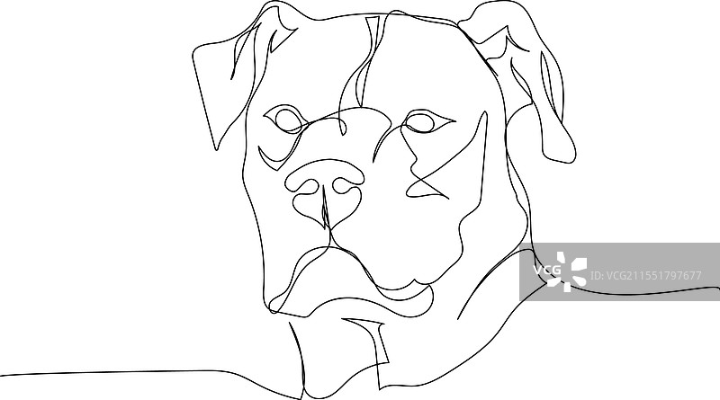 阿根廷斗犬，猎犬，服务犬图片素材