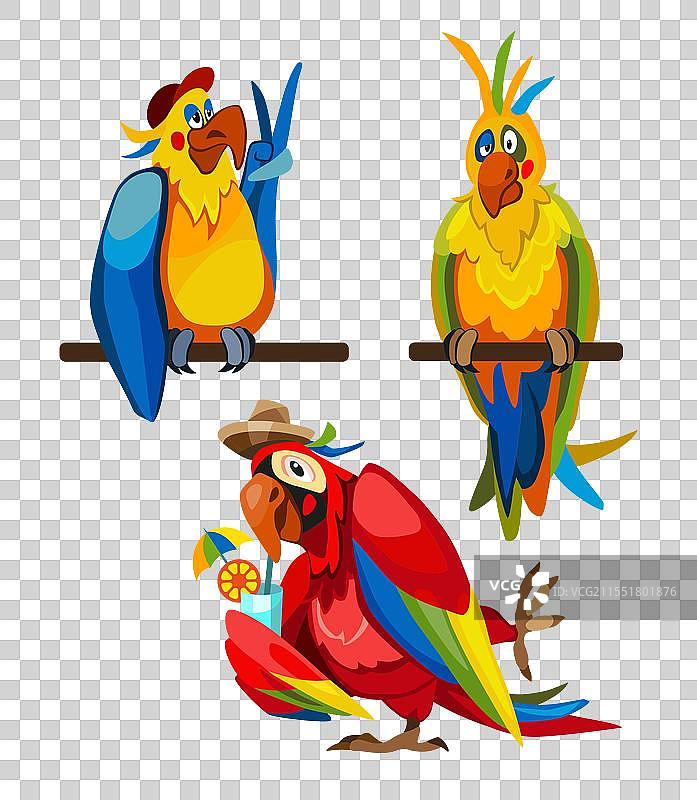 一组四幅画，描绘了鹦鹉举着一个标志。图片素材