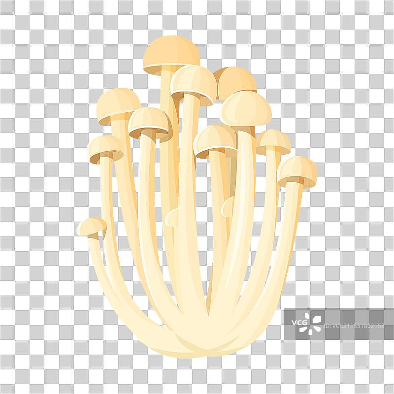 一簇金针菇图片素材