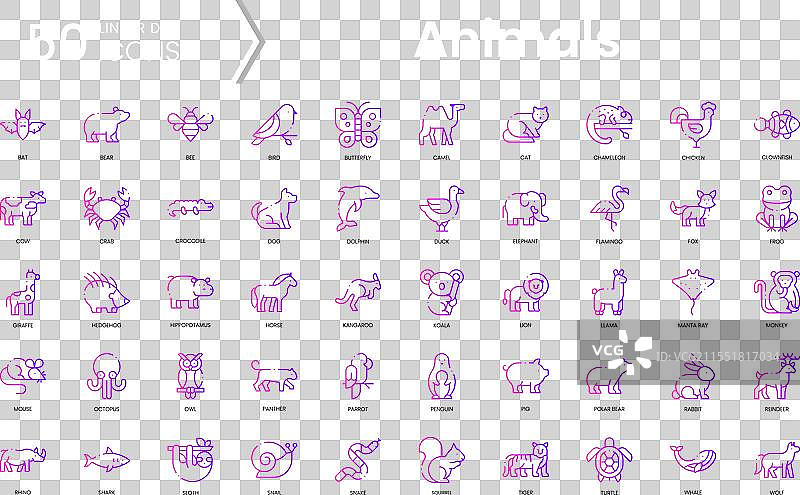 动物图标套件 渐变风格图标包图片素材