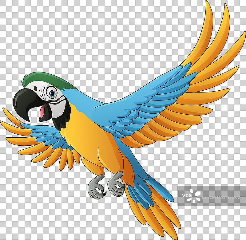 孤立在白色背景上的卡通蓝金刚鹦鹉图片素材