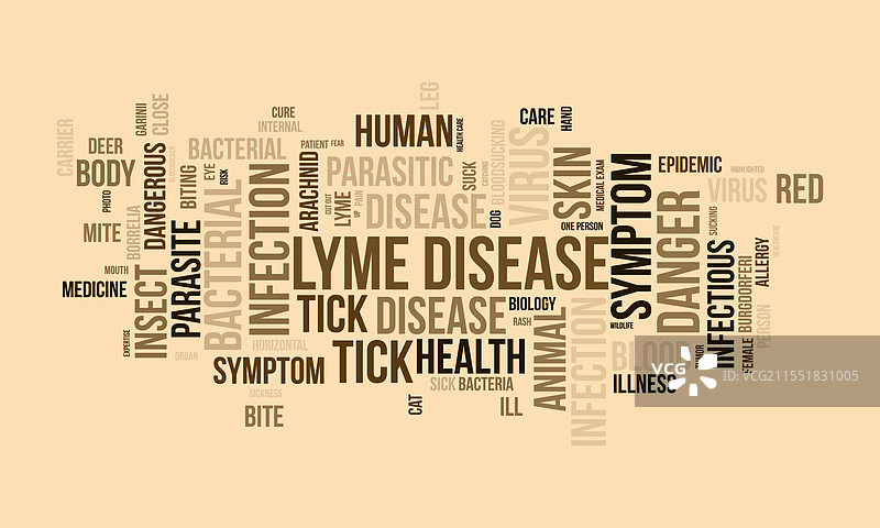 莱姆病词云模板 健康与图片素材