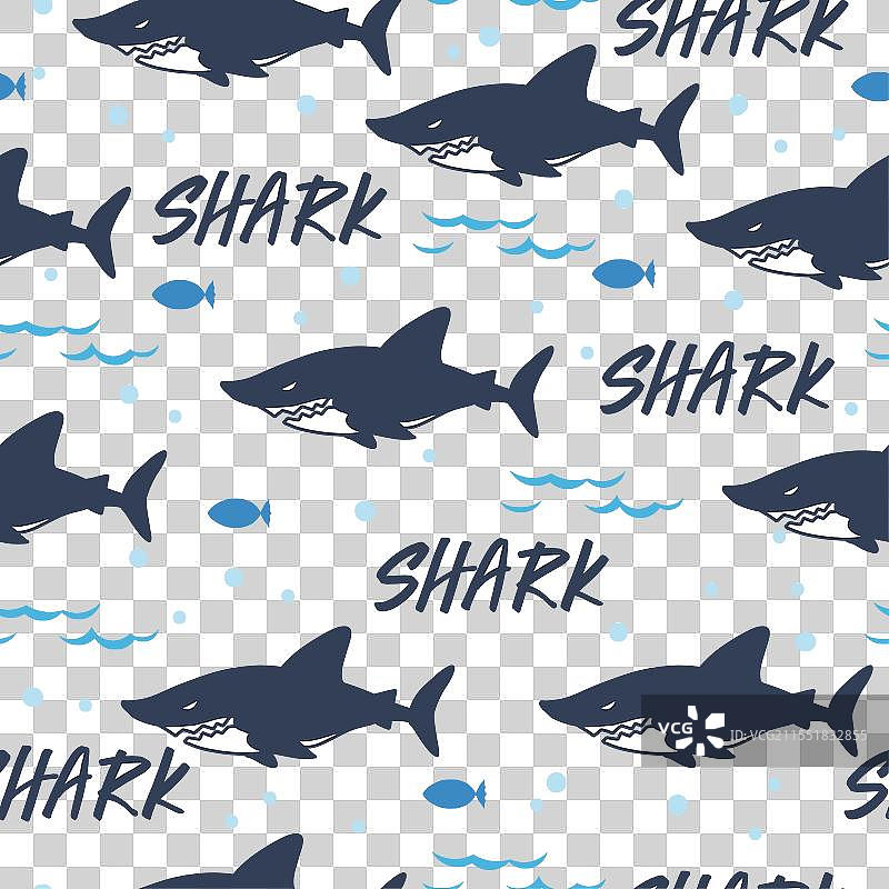 鲨鱼出没的水域，阴险的鲨鱼与波浪图片素材