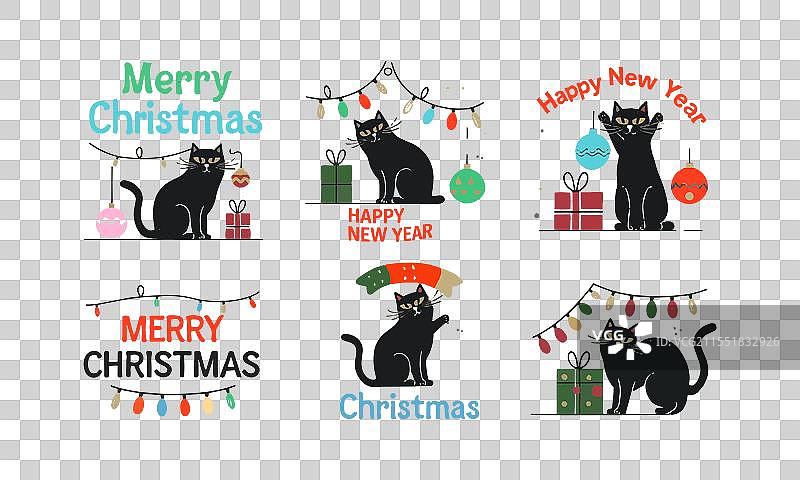 优雅的黑猫圣诞设计假日图片素材