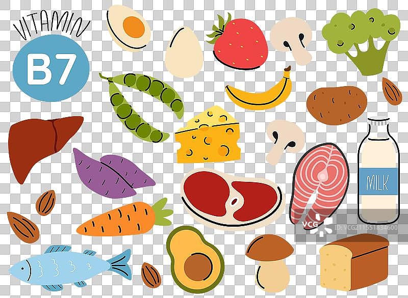 维生素B7来源的饮食产品组合图片素材