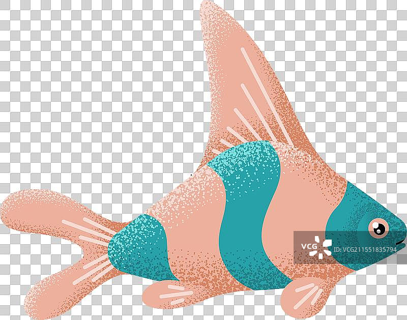 小丑鱼图标，色彩斑斓的热带鱼，异域风情图片素材