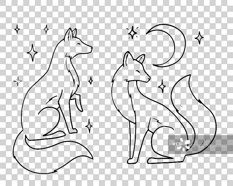 神秘的狐狸线条艺术与月亮和星星图片素材