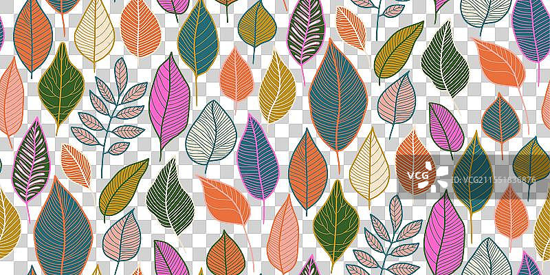 多样形状的生动风格化叶子图案图片素材