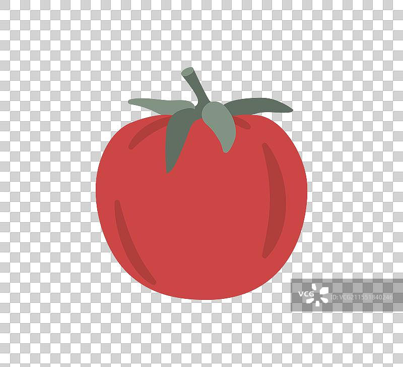 手持红色番茄，背景为白色图片素材