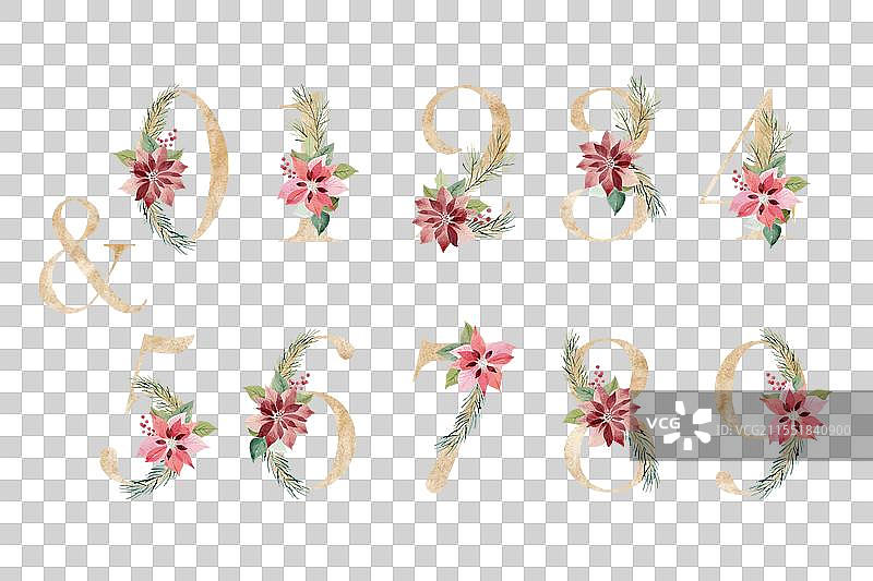 水彩花卉数字图片素材