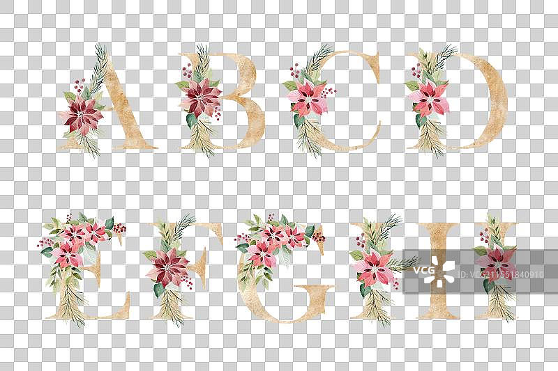 水彩花卉字母表图片素材