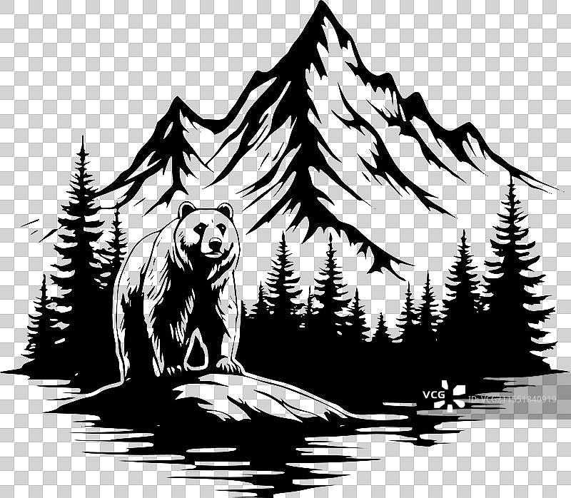 松林中的熊图像图片素材