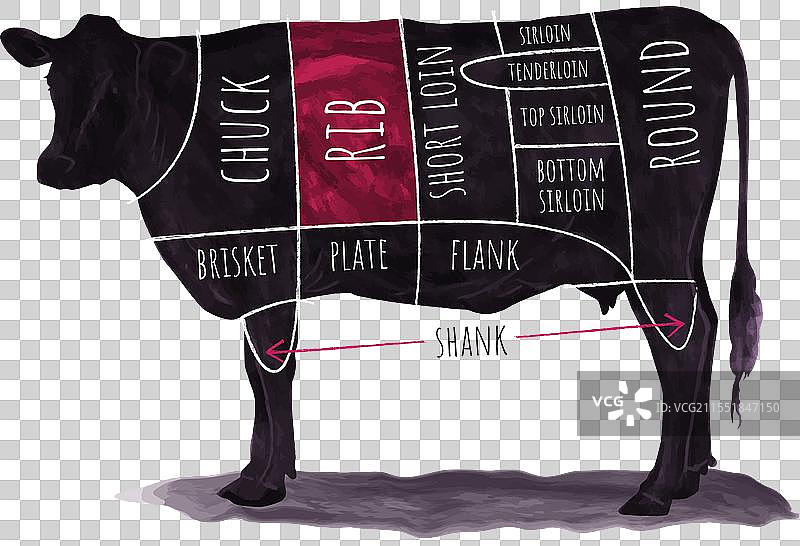 牛肉切割图，标注了牛身上的各个部位图片素材