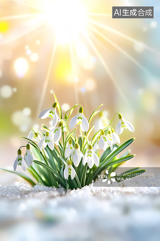 【AI数字艺术】雪地上生长的白色开花植物的特写镜头图片素材