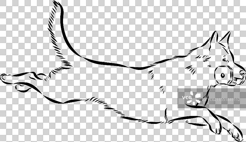 卡通角色的狗训练场景图片素材