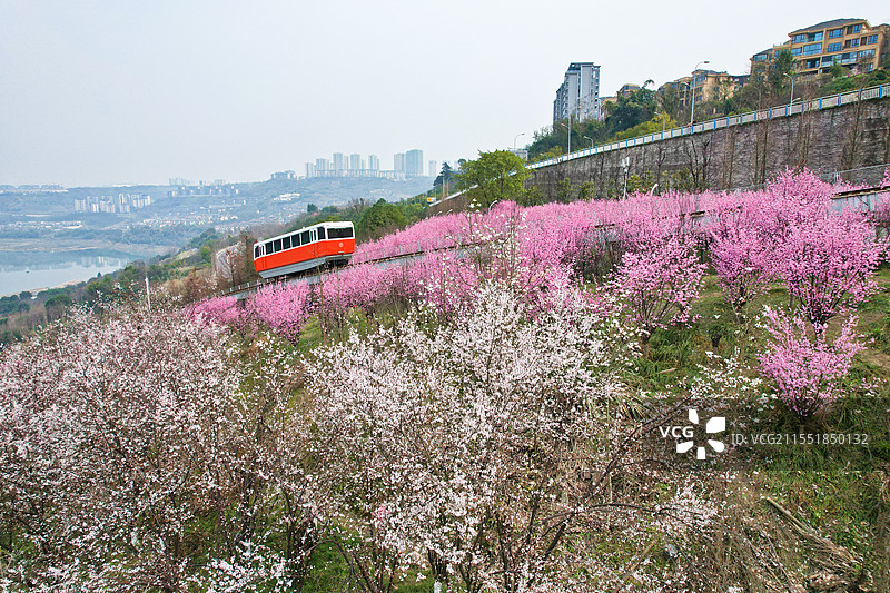 重庆礼嘉智慧公园时光缆车图片素材
